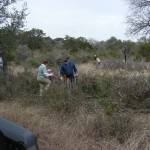bcvHabitatRestoration1