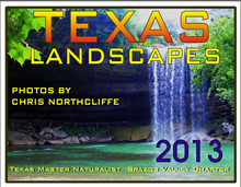 Texas Landscapes Calendar
