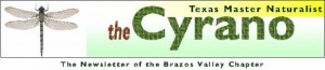 Image: Cyrano Logo