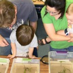 jrNat10_famView Image: Family viewing shrimp specimens