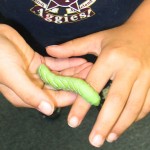 jrNat10_caterpillar Image: boy with caterpillar