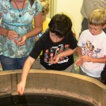 jrNat10_turtleFeed Image: Visitors feeding turtles