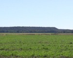 mesaView And on the way home, looking back to Sugar Loaf Mountain and its adjacent mesa