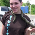 bioblitz2010j TAMU Wildlife & Fisheries student volunteer Monica Stone modelling a southern king snake