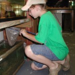 Collecting Live Snake Food Collecting Live Snake Food