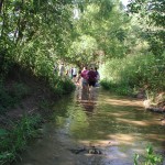 Wading Upriver Wading Upriver