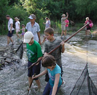 seining Image of Jr Naturalists seining the Little Brazos River