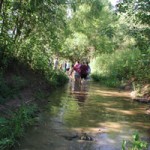Wading Up River