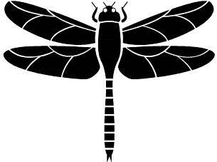 dragon-fly