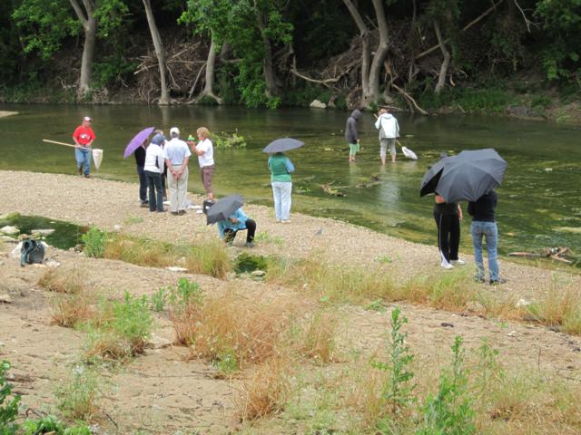 Nolan Creek Aquatics :Nolan