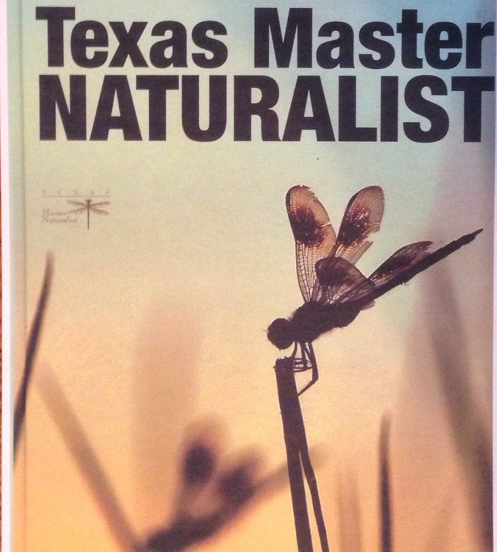 Featured Creature Master Naturalist Central Texas Chapter