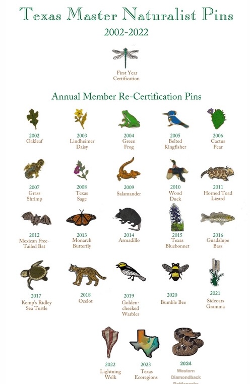 Texas Master Naturalists Certification And Service Pins