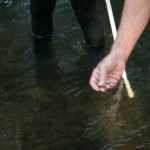 02IMG_0983