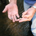 03IMG_0984