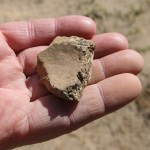 the find