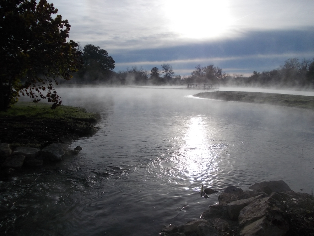 Berry Springs Park & Preserve Project Good Water Master Naturalists