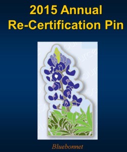 2015-Annual-Re-Certification-Pin