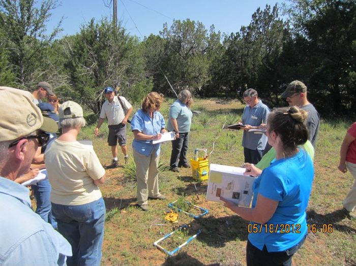 Horned Lizard Watch