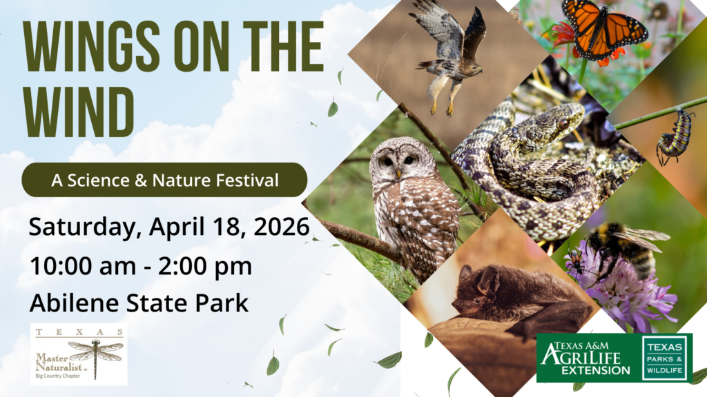An owl, butterfly, snake, caterpillar, bumble bee, bat & monarch butterfly on advertisement for Wings on the Wind Science and Nature Festival