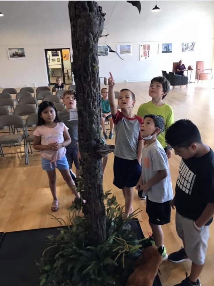 students looking at tree