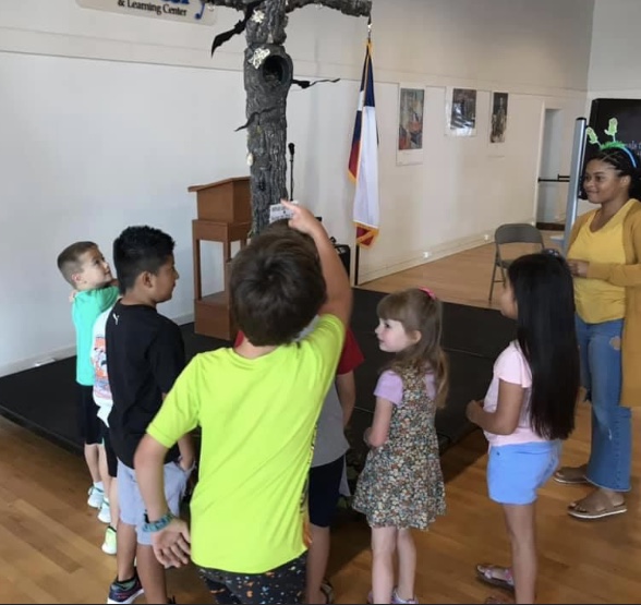 Students look at prop tree