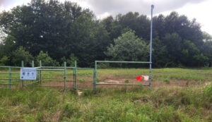Minibat 2 Detector Installed at Caddo National Grasslands - Ladonia Unit - Week 5