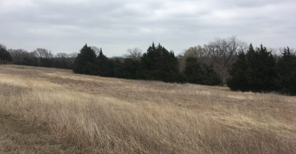 Blackland Prairie Master Naturalists Blackland Prairie