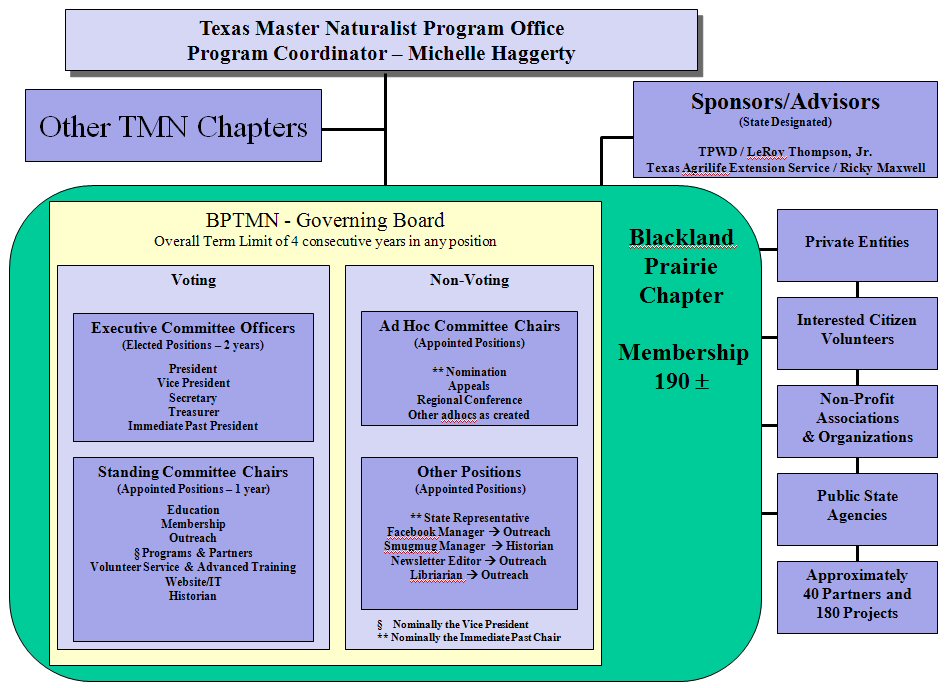 Master Organizational Chart