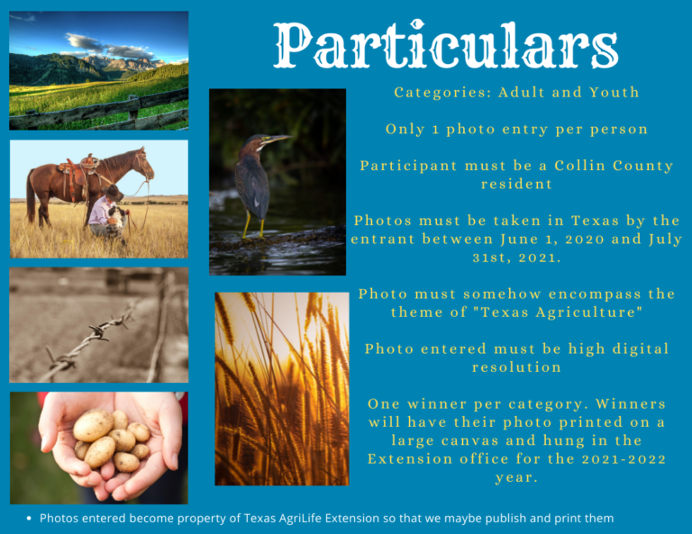 Photography Contest Particulars