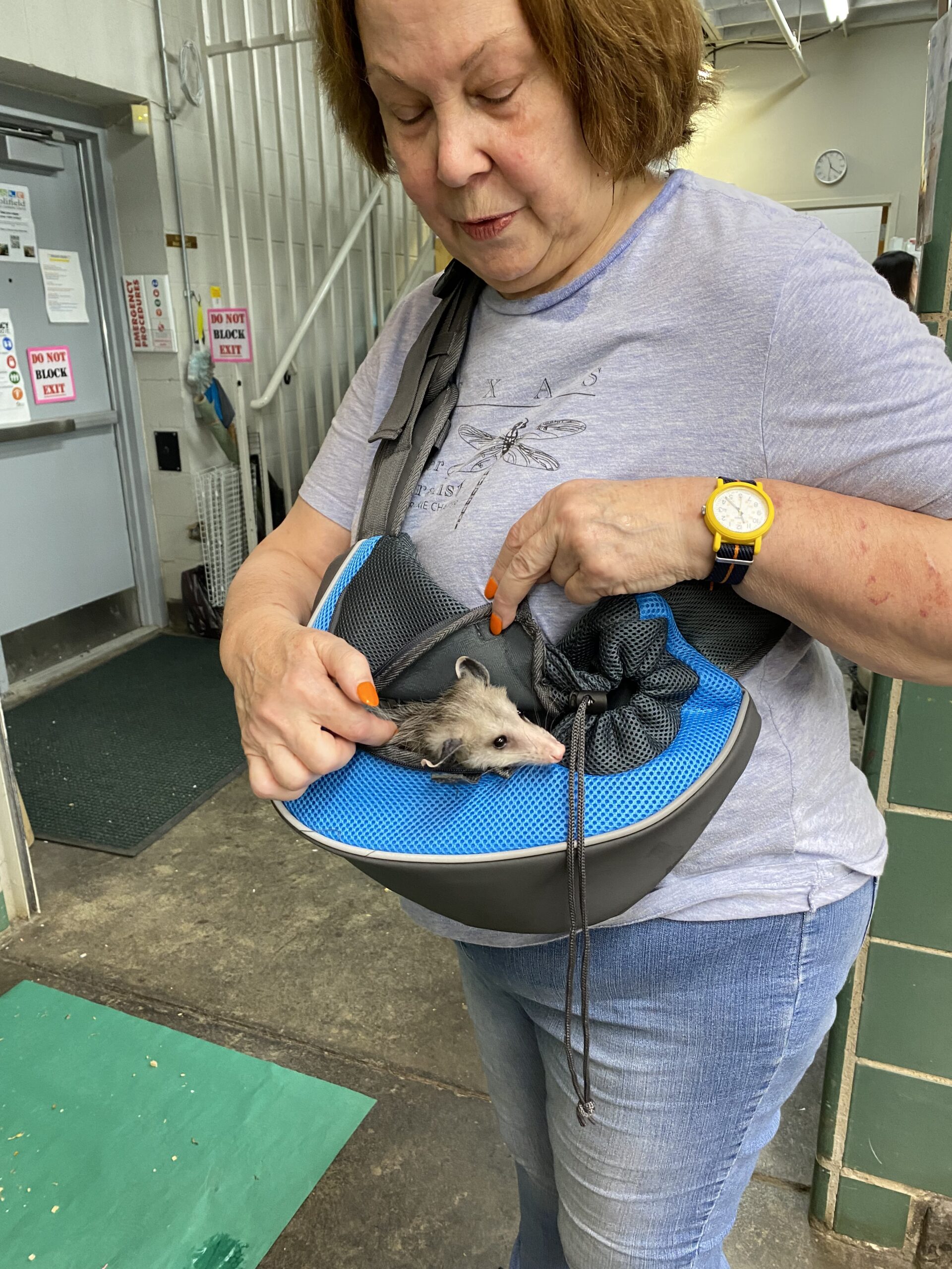 Our Tribe’s Fortune 250 Hours Carolyn Lewis