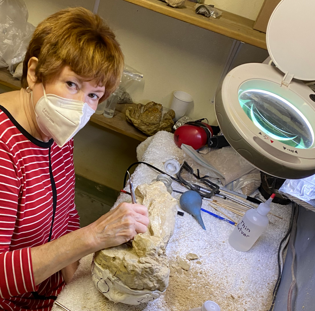 Kathleen Hoffmann cleaning fossil.