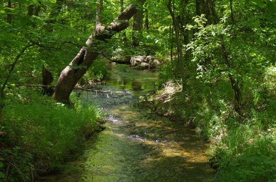 Photo of water stream