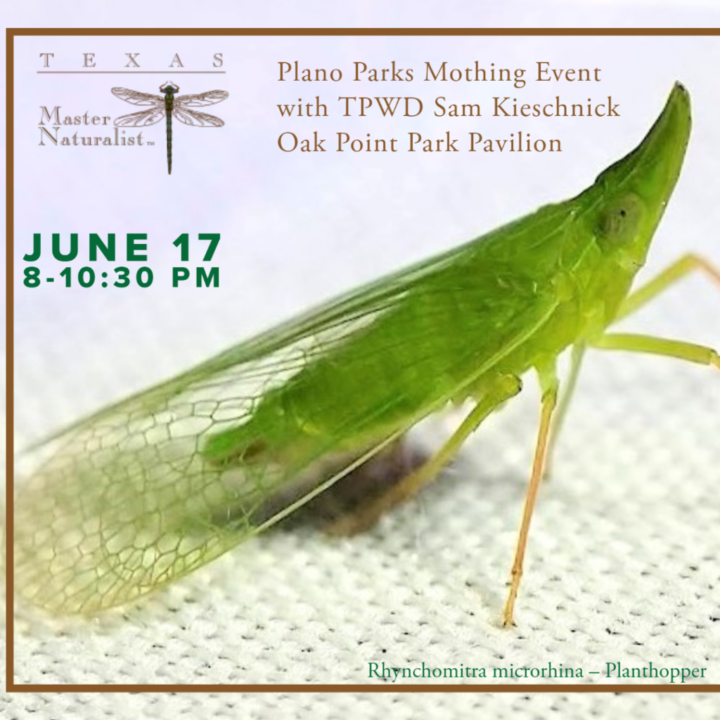 Plano Parks Mothing Event with Sam Kieschnick June 17 at Oak Point Park