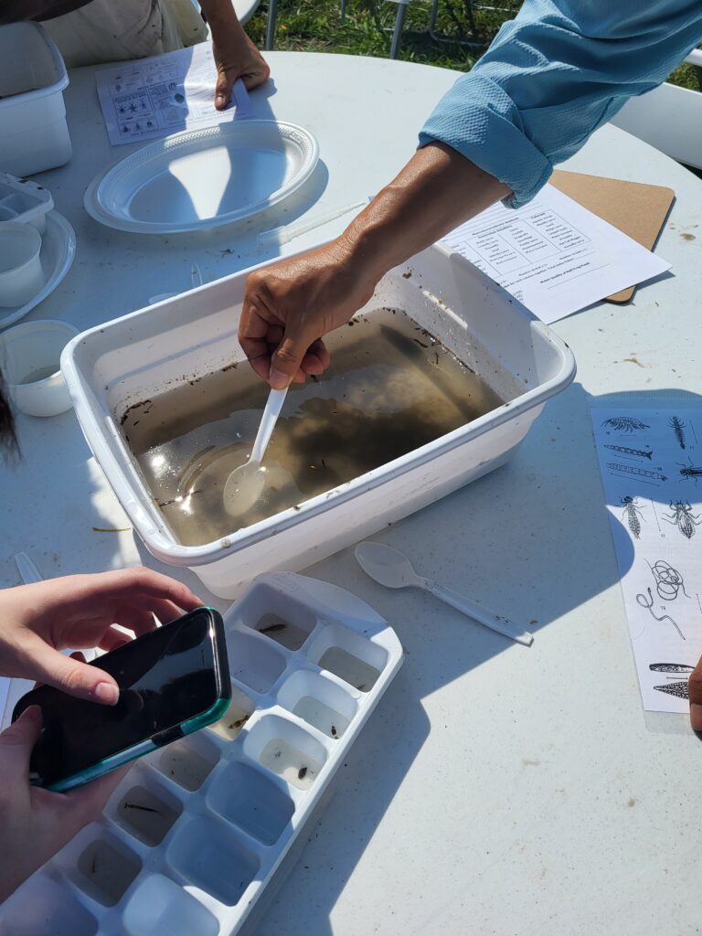 Class of 2023 Aquatics class at Connemara Pond Sampling and learning about macroinvertebrates.