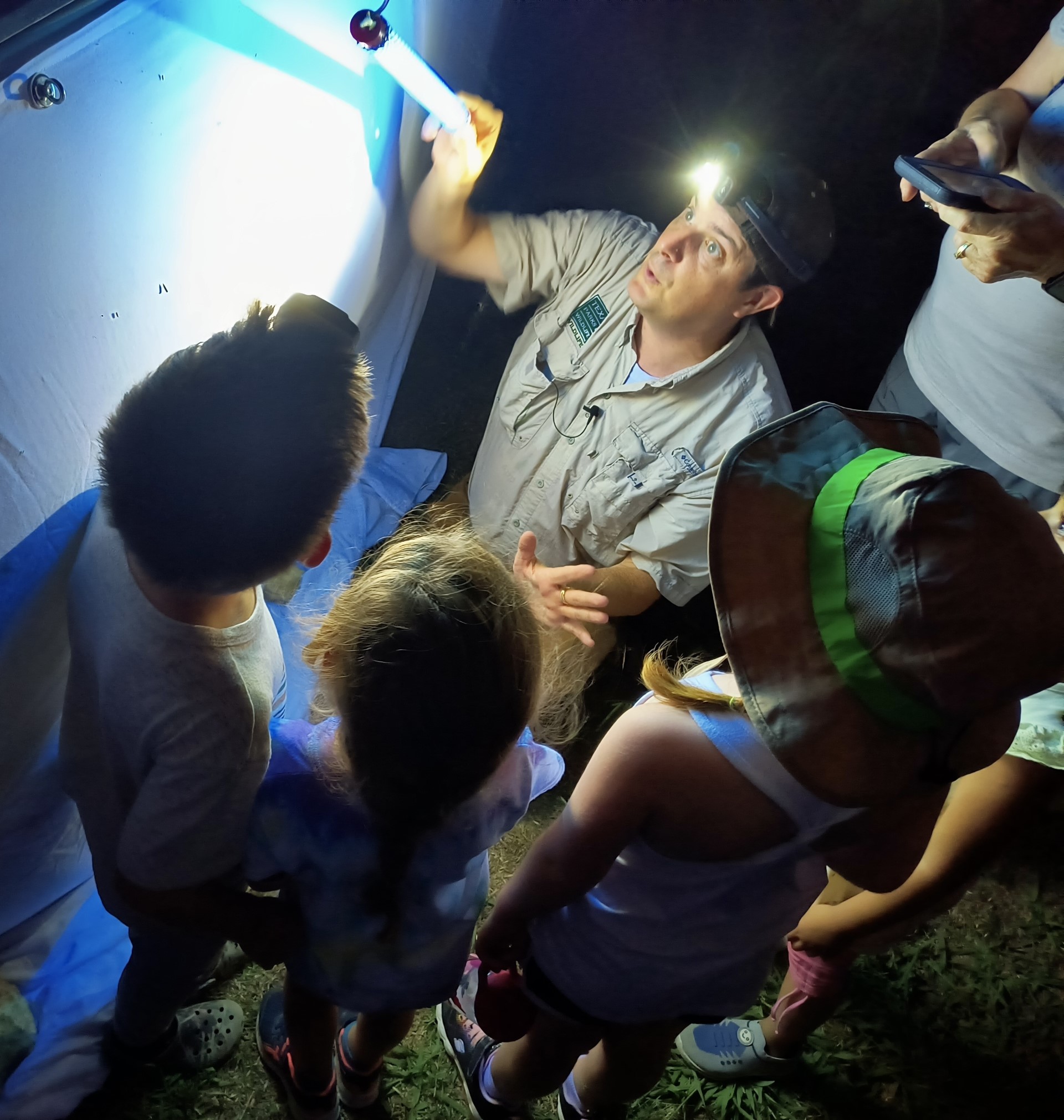 Plano Parks Mothing Event with Sam Kieschnick identifying moths with young attendees.