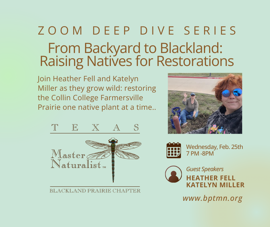 2026 February Deep Dive with Heather Fell and Katelyn Miller