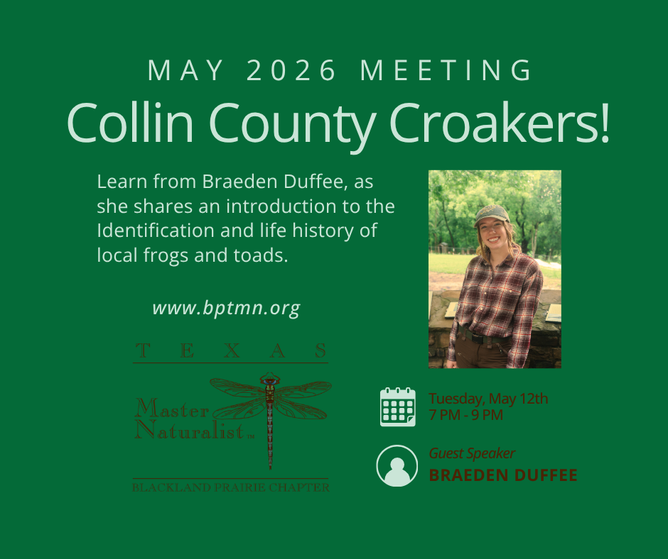 2026 May BPTMNN Chapter Meeting