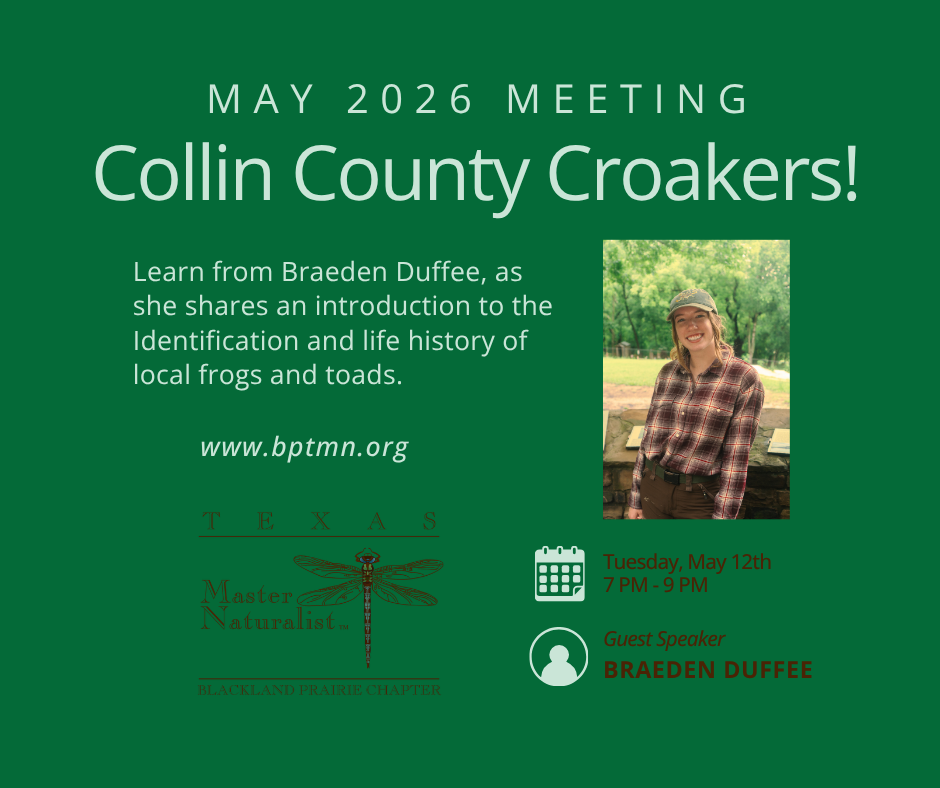 2026 May BPTMNN Chapter Meeting