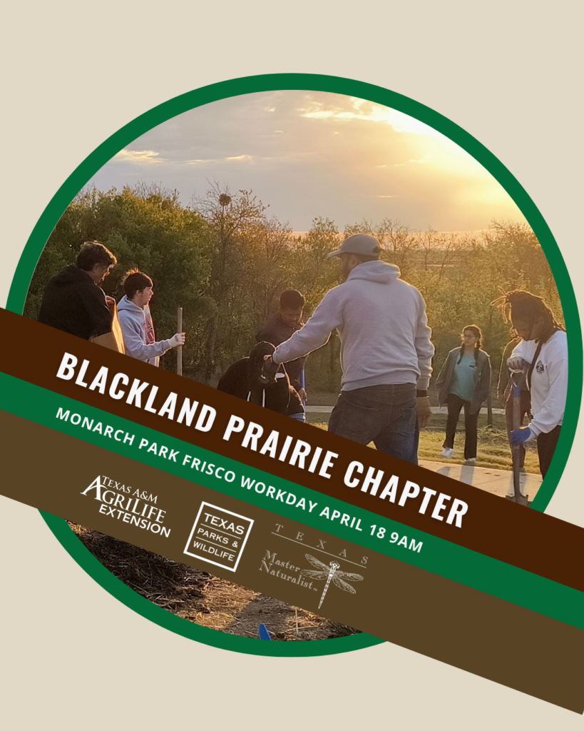 National Volunteer Month April 2026 Chapter Facebook Frame Monarch Park Workday Sunset - Blackland Prairie Chapter