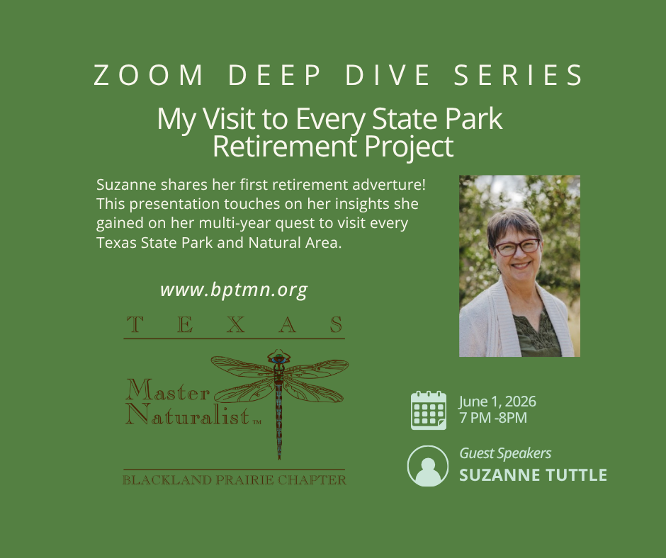 2026 June Deep Dive