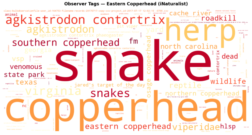 Copperhead snake word cluster