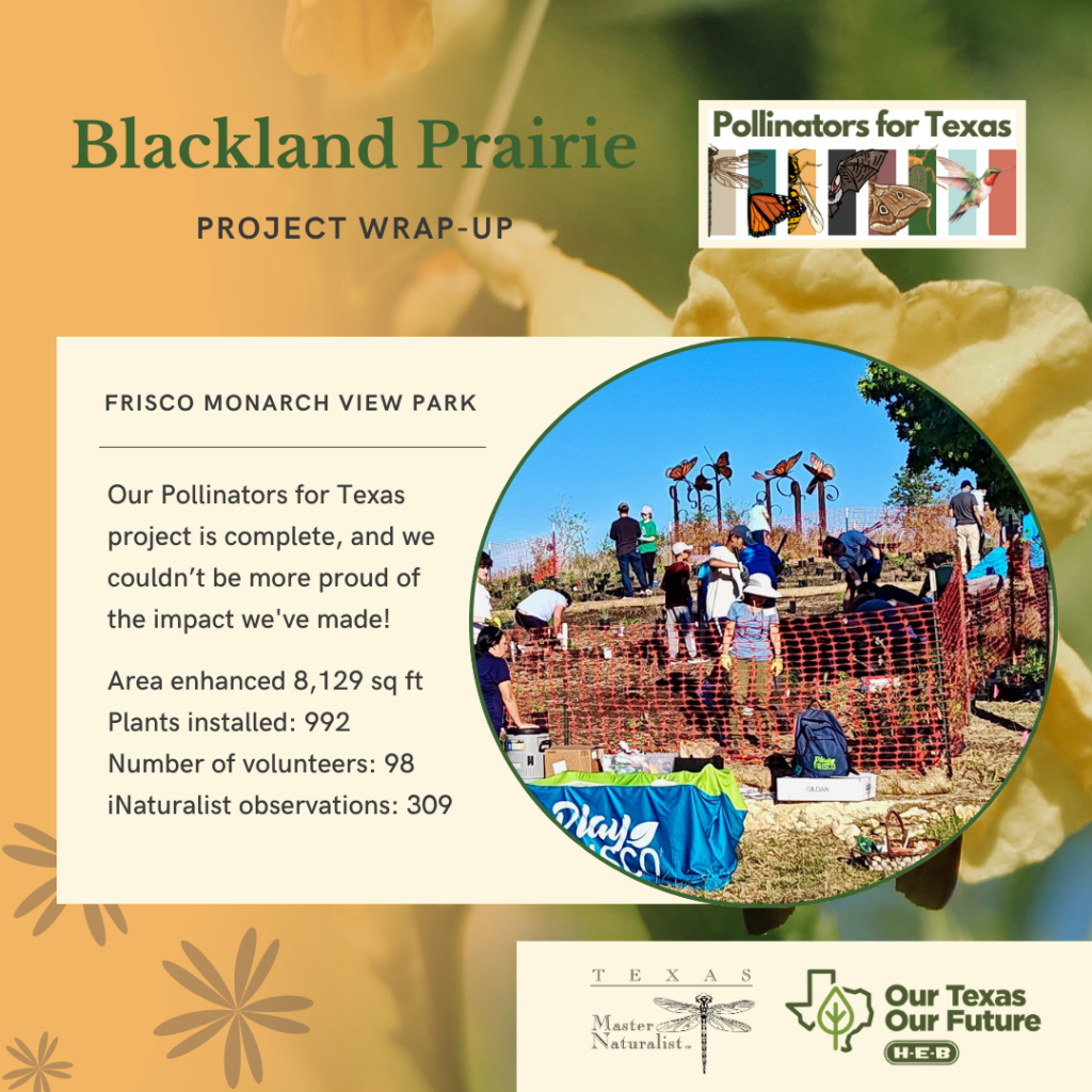 BPTMN 2026 08 Frisco Monarch Park Project Wrap-Up 01