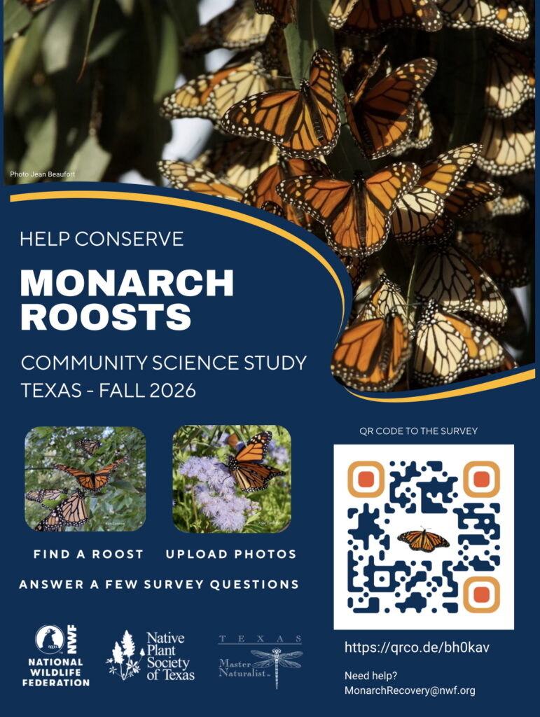 Monarch Roost study flyer