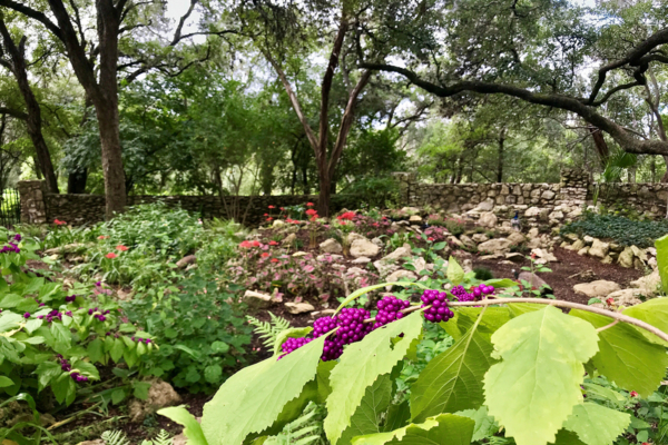 Mayfield Park And Nature Preserve