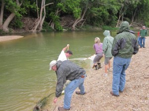 Seining at the creek