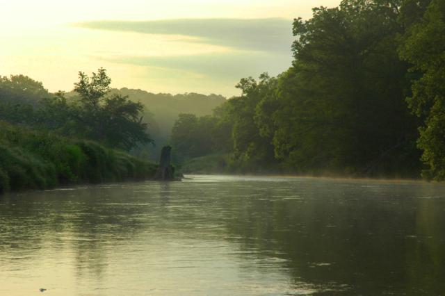 MorningMist