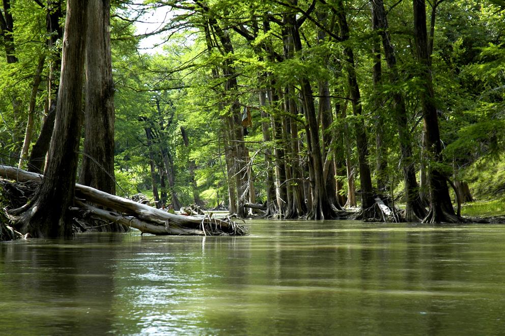 Perdenales River