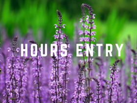 Hours Entry