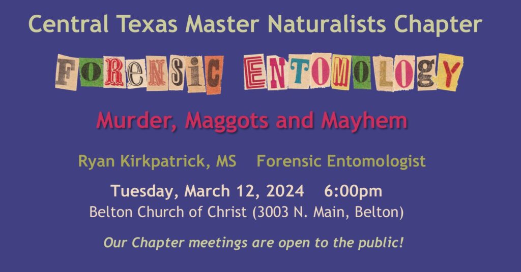 March 2024 Chapter Meeting announcement