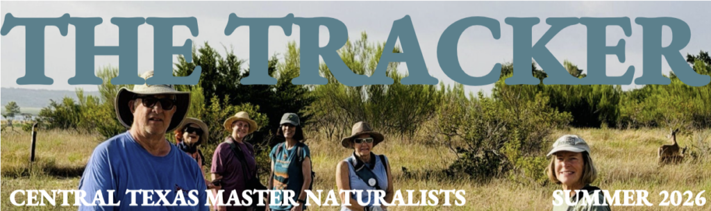 Click here for Newsletter!